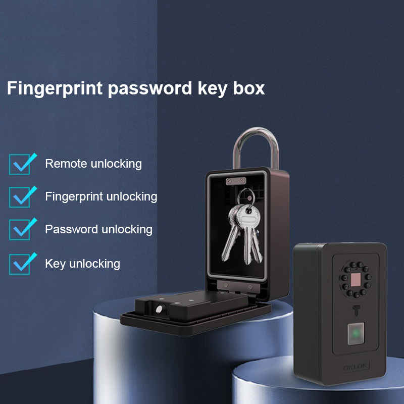 Intelligentes Vorhängeschloss  – Smart Home Door Lock Bewertung und Preis
