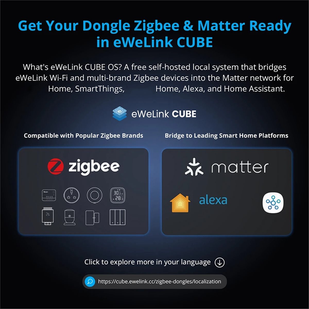 Dongle Plus MG24 Zigbee Thread – Smart Home Plus Bewertung und Preis